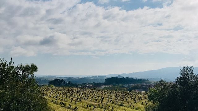 Catalonia's Cava Mestres: Timeless Gran Reserva Tasting