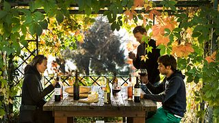 1 giorno per 3 aziende vinicole storiche nel Chianti fiorentino