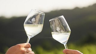 Tour exclusivo e privado de vinhos - Personalizado de acordo com seu gosto e desejos - Vinícola Peterc