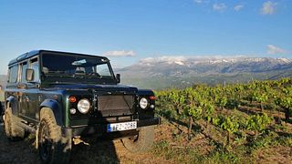 Visita privada y exclusiva a la bodega y viñedos de Manousakis