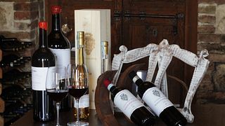 Cata de vinos en Celestino Pecci