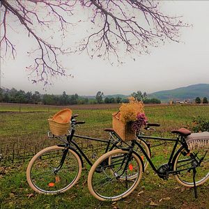 Pernottamento presso Terra Rosa Country House e Vigneti 