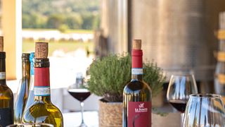 Dégustation de vins d'Ombrie et déjeuner léger dans la cave