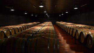 Museo del Vino al Lungarotti