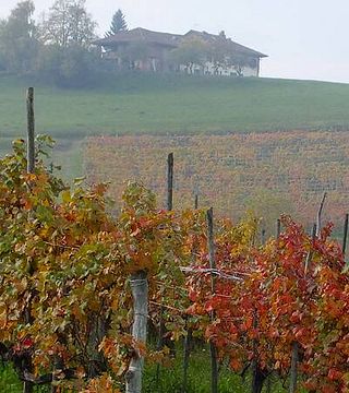 Del Tufo Winery