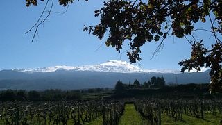 Girolamo Russo Winery