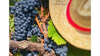 Domaine La Croix Belle