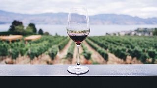 Degustazione di vini a Dealu Mare