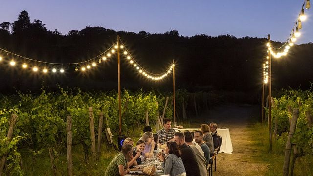 Dinner in the Vineyards at Fattoria La Palagina