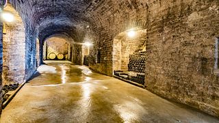 Tenuta Tamburnin: A Historic Organic Winery