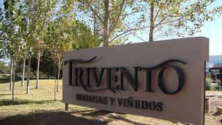 Weinprobe und Tour in der Bodega Trivento