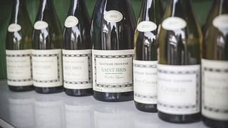 Degustazione di Chablis al Domaine Clotilde Davenne in inglese