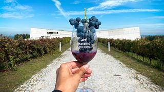 Visite du domaine et dégustation de 3 vins