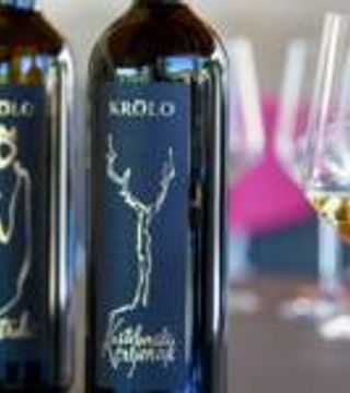 Cata clásica de vinos en la bodega Krolo 
