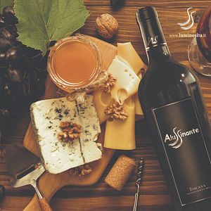 Dégustation de vins et visite à Alussinante