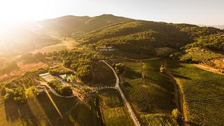 Dîner dans les vignobles de la Fattoria La Palagina