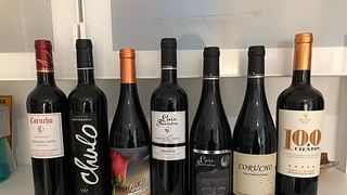 Degustação de vinhos e tour na Bodega Ecológica Luis Saavedra