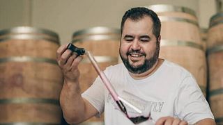 Degustação de vinhos populares e tour na vinícola Tsarev Brod