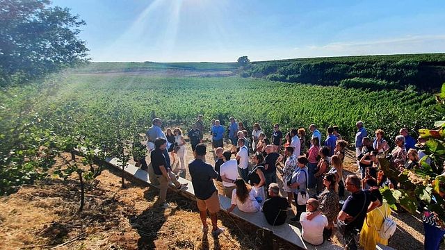 Degustazione vini nella bottaia di Casal De Luca