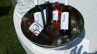 Degustazione di vini e visita alla cantina Gerzinic
