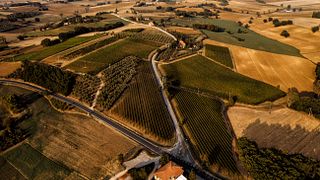 Azienda Agricola Madrevite
