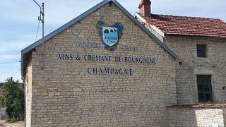Degustazione di vini e tour al Domaine Gillon Frères