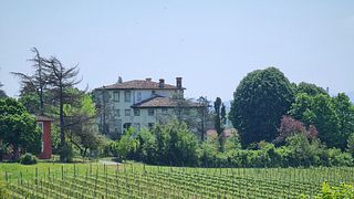 Vinprovning och rundtur på Fattoria Sardi