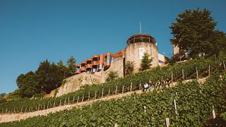 Nahe Wine & Pretzel Tasting at Weingut In den Zehn Morgen