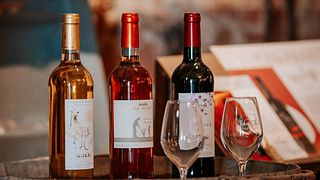 Degustazione di vini e visita a Mas Alart