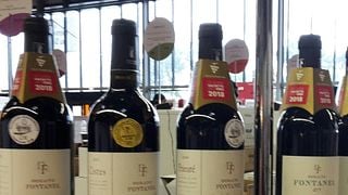 Degustação de vinhos e tour no Domaine Fontanel