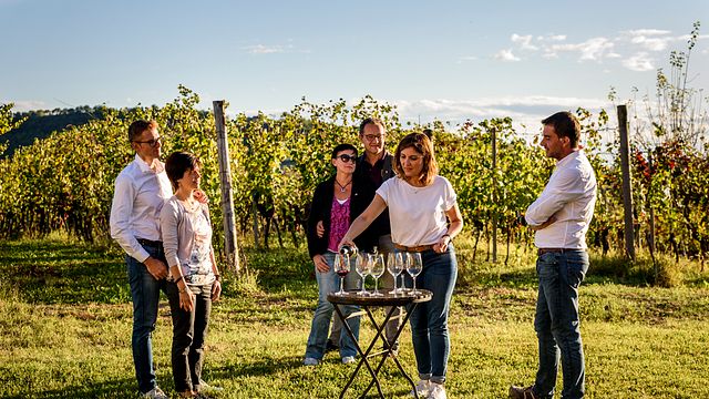 DÉGUSTATION DE VINS SUR LA TERRASSE AVEC VUE SUR LE VIGNOBLE