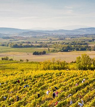 Vinprovning och rundtur på Château Guilhem