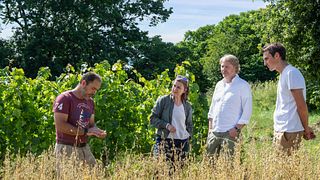 Degustación y visita al Château l'Escarderie 