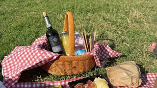 Picnic among the rows of Vernaccia di San Gimignano vines