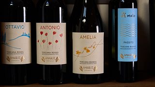 "Amarsi" Società Agricola Semplice
