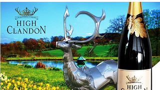 High Clandon Estate Vineyard