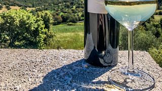 Cata y tour de vinos en La Neula 