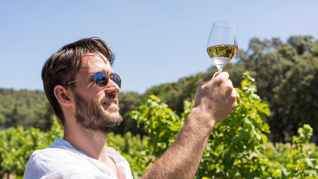 Vinos de Provenza y pueblos de Luberon de Aix-en-Provence