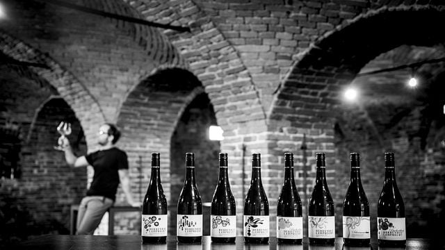 Cata de vinos y visita guiada en HERRENHOF LAMPRECHT