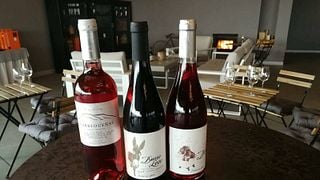 Esperienze uniche a Concejo Bodegas Sl