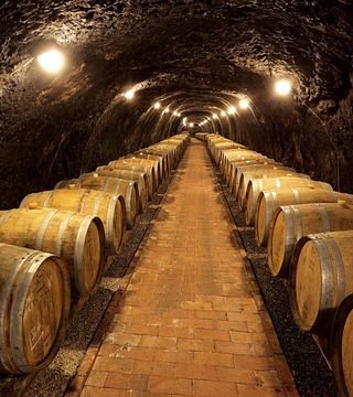 Dereszla Winery and Cellar Labyrinth
