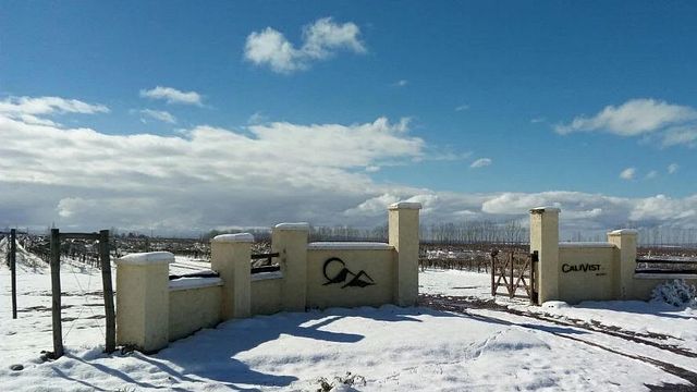 Calivista Winery