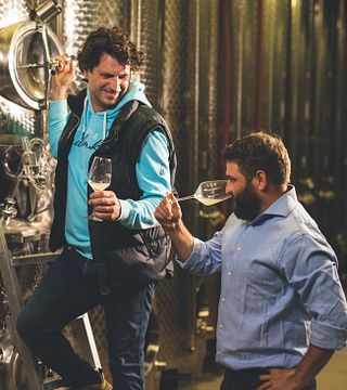 Weingut Trenz: A Historic Rheingau Winery