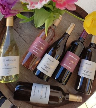Degustazione di vini e visita alla Weingut Karin Habersack