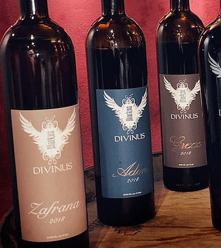 Malta Island Wine & Terroir Tasting at Markus Divinus