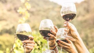 Cata de vinos y visita al Château Nakad
