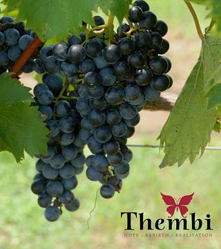 Thembi Wines