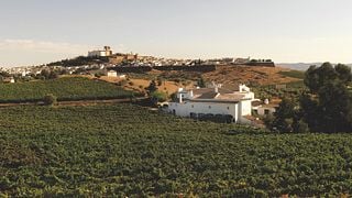 Visita e prova de vinhos na Quinta do Mouro
