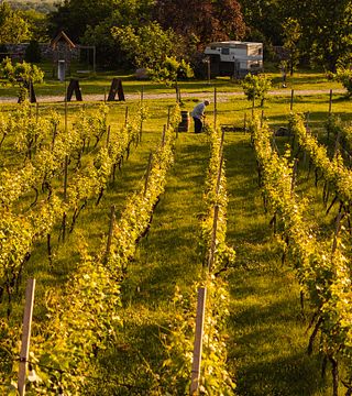 Schuchmann Wines Château, Villas & Spa