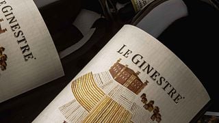 Langhe & Roero: Degustação de 4 vinhos autóctones piemonteses como Barolo Docg Sottocastello di Novello, Langhe Doc Nebbiolo, Barbera d'Alba Doc e Roero Arneis Docg